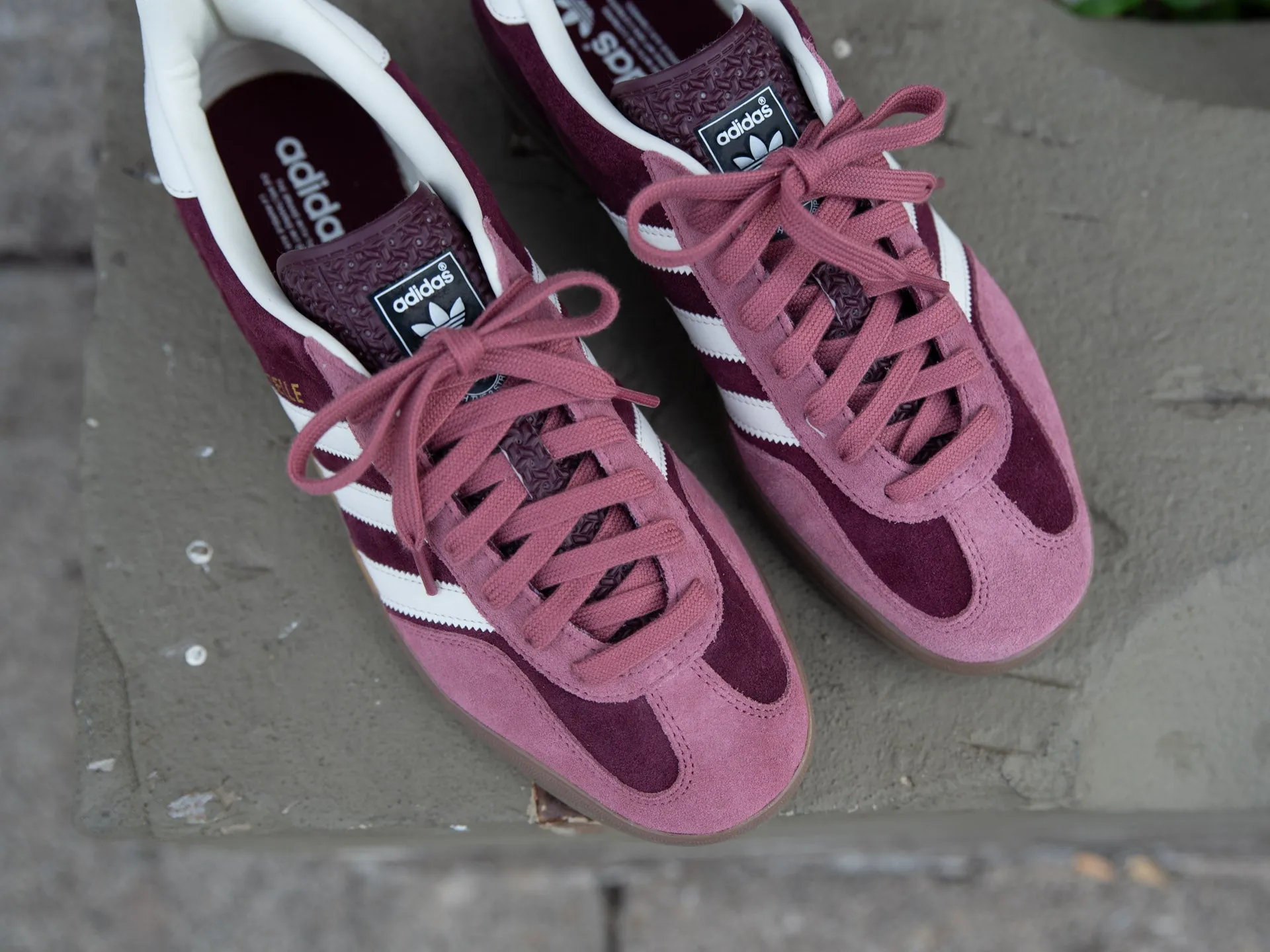 Adidas Running Shoes Under 100 Euro Adidas Gazelle Indoor 'Maroon'