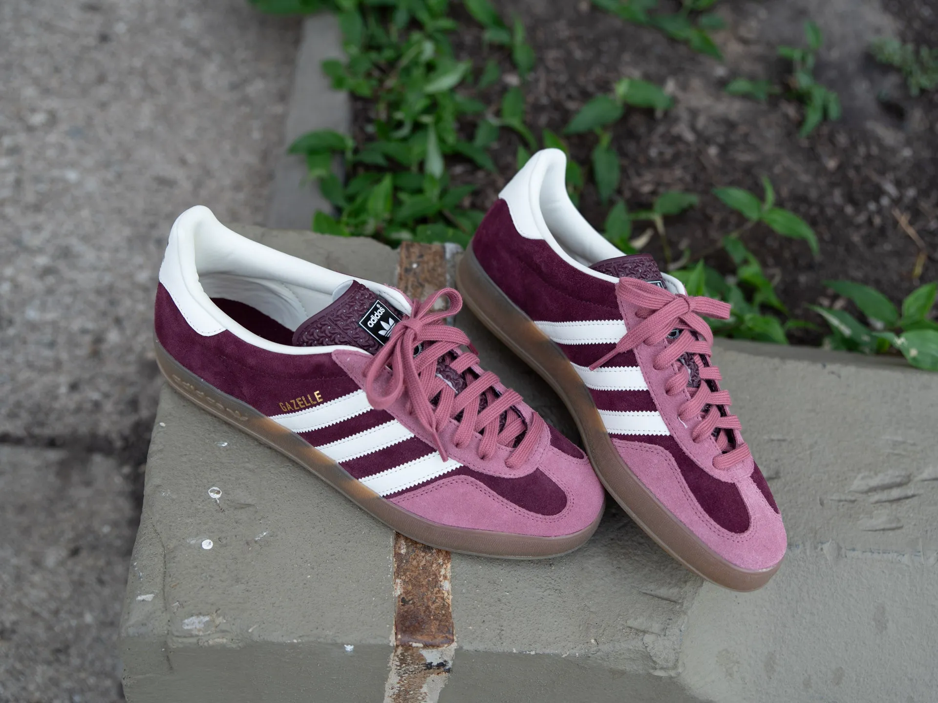 Adidas 2010 Basketball Shoes Adidas Gazelle Indoor 'Maroon'