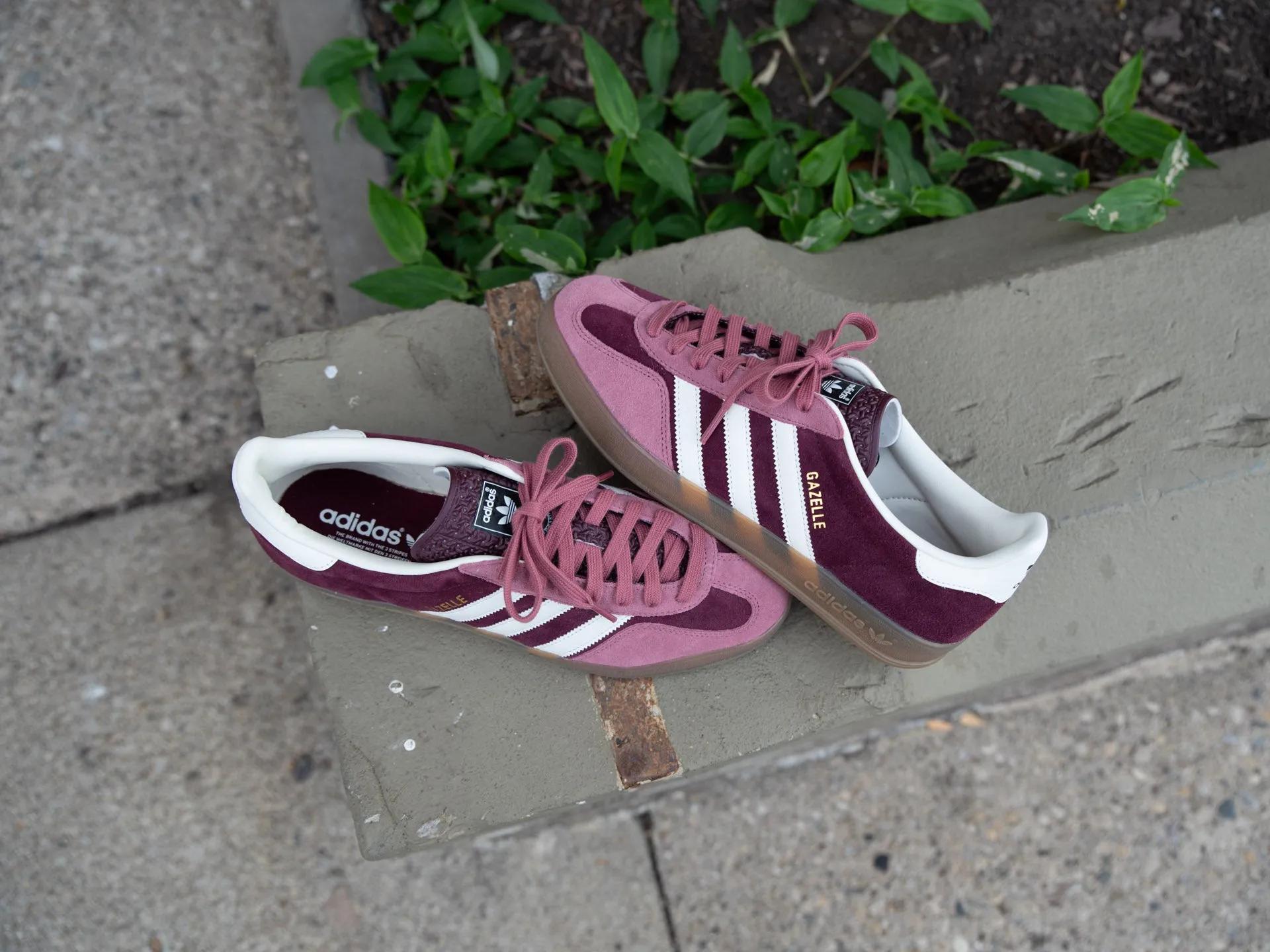 Adidas Running Shoe Adizero Adidas Gazelle Indoor 'Maroon'