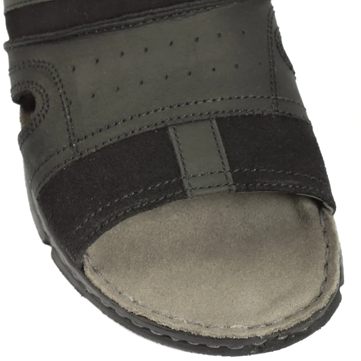 CAIN QUINTIN Pictures Of Lady Slippers Flowers