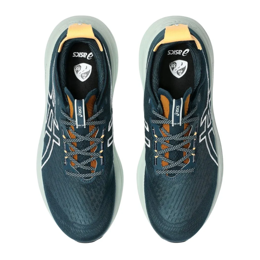 Best Rated Running Shoe asics Gel-Nimbus 27 TR Men's Trail Running Shoes