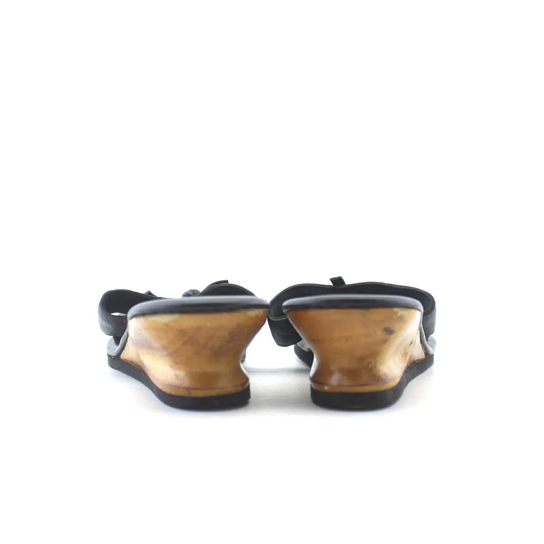 ISLAND . Slides Tiger