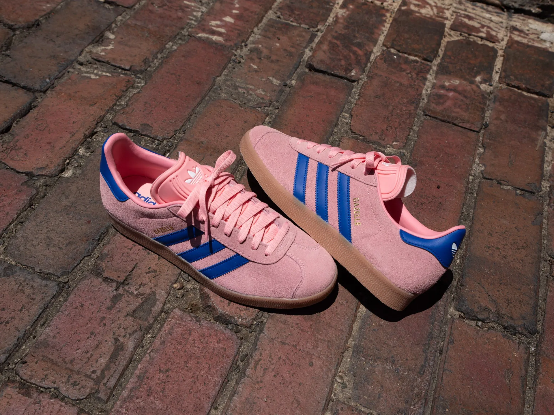 Adidas Golf Shoes Tech Response Adidas Gazelle 'Semi Pink Spark/Lucid Blue'