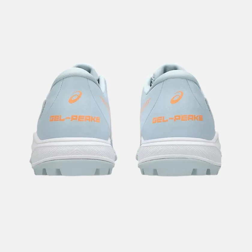 Asics Sky Elite Ff 2 Indoor Court Shoes Asics Gel Peake 2 GS Cricket Shoes