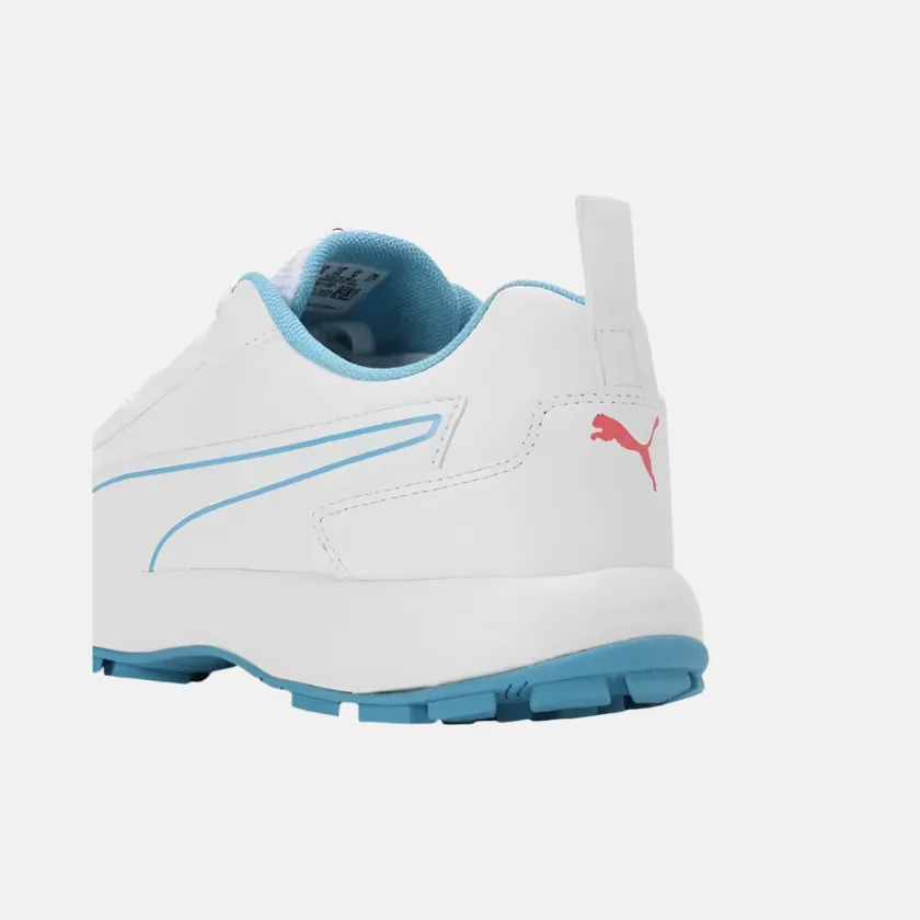 Porsche Turbo Puma Shoes Puma Classic Cat Men's Cricket Shoes -White/Blue