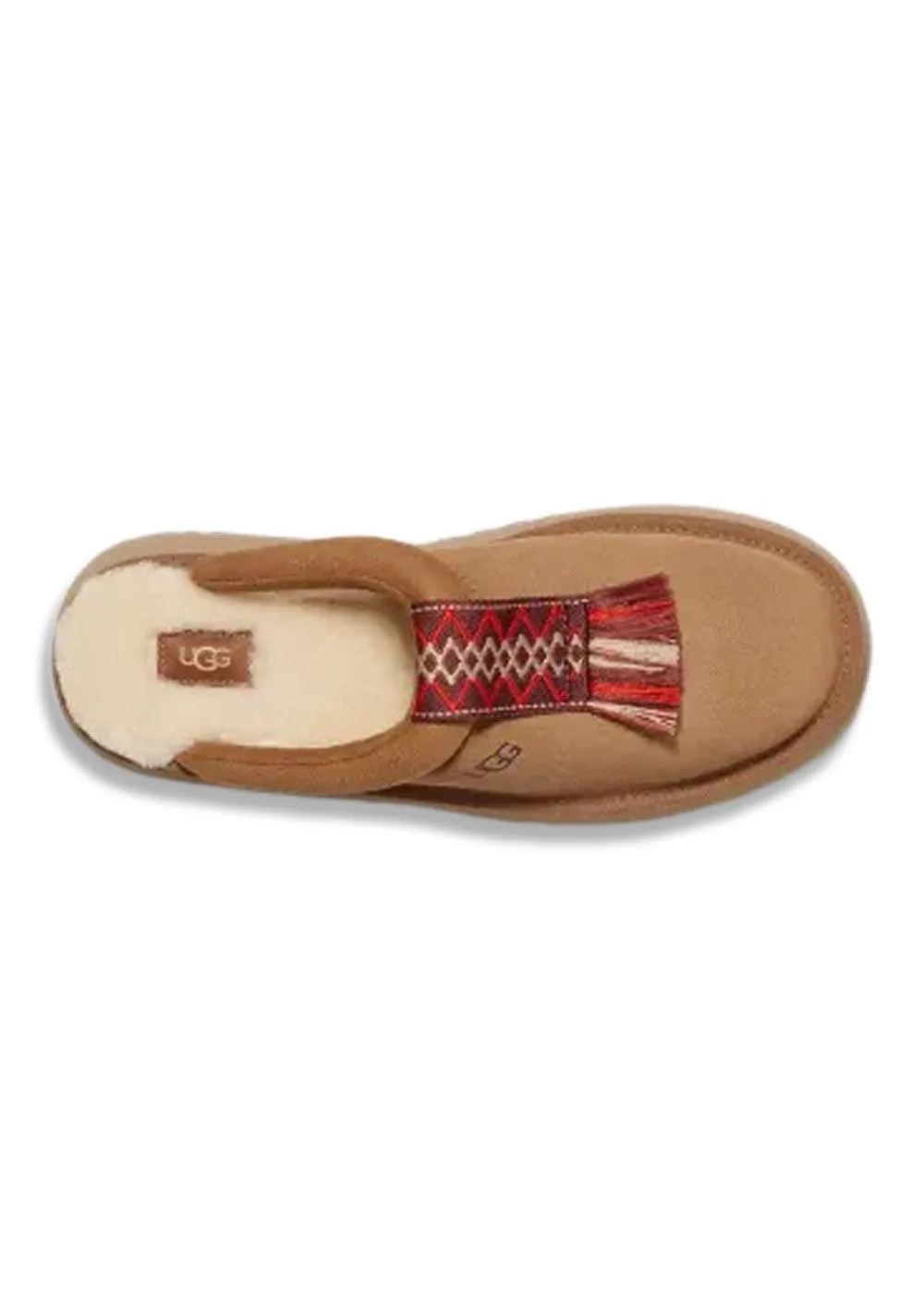 W Tazzle - Chestnut Wearing Loafers Without